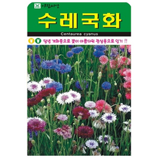 수레국화 꽃 씨앗 (합 1500립) 야생화 종자, 4개