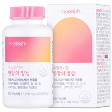 푸딜라이트 한알의 양심 1 200mg, 1개, 90정