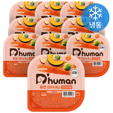 듀먼 전연령용 강아지 오리지널 화식사료, 연어+채소, 50g, 10개