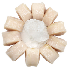 [작년완판] 거제도 자연산 키조개 관자 급냉, 1박스, 거제도 자연산 키조개 관자 500g (10~15미)