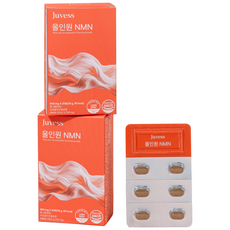 쥬베스 올인원 NMN, 1박스, 30정