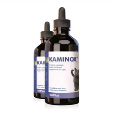 벳플러스 카미녹스 60ml 칼륨 영양제 무배, 1개