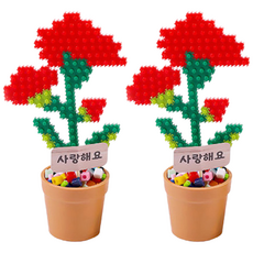 카네이션 디폼블럭 화분 만들기 (2인세트)