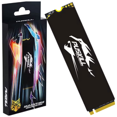 푸스킬 방열판 SSD PUSKILL M.2 NVMe PCIe3.0, 512GB