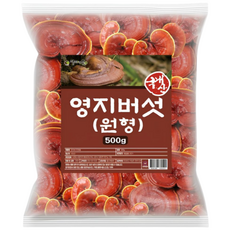 마일리바 국산 영지 버섯 건조 말린 것 500g 붉은 적지 원형 통영지버섯, 1개