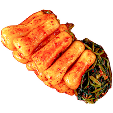 [당일제조 당일발송] 국산100% 총각김치 아삭아삭 전라도식 알타리 무 손맛깊은김치, 10kg, 1개