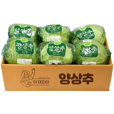 양상추피아 산지직송 양상추 6통 국산 개별포장, 6개