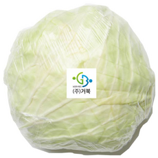 (거북)국내산 양배추, 1개, 3kg