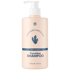 트웬티케이 알텀 펩타이드 후코이단 콜라겐 헤어 스칼프 샴푸[저자극], 1개, 500ml