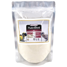 버셀라가 A21 앵무새 이유식 500g + 스푼 세트 사료 먹이 영양제, 1개