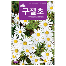 (CN) 구절초 씨앗 (1000립), 01_청농_구절초(1000립), 1개