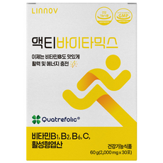 맛있는 비타민B 영양제 액티바이타믹스 어린이 청소년 1개월분, 60g, 1개