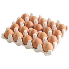 알참참 계란 무항생제 1+등급 특란, 1개, 20구