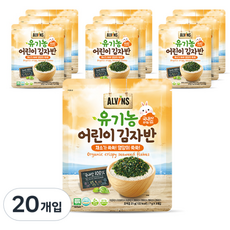 ALVINS 愛彬思 兒童海苔酥, 蔬菜口味, 21g, 20包