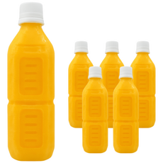 달빛단호박식혜 국산 단호박 수제식혜 밥알없는식혜 무방부제 무라벨, 6개, 500ml