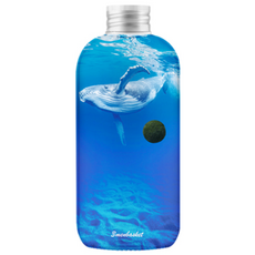 세남자바스켓 항상 곁에서 응원해주는 소원 마리모 10type, 고래의꿈, 1개