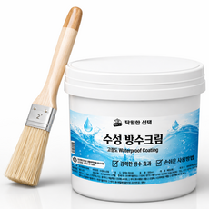 탁월한선택 고농축 투명 방수제 욕실 타일 방수 고점도 타입, 1개, 500ml