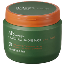 ATS 퍼스티지 카미시 올인원 마스크 500ml, 1개