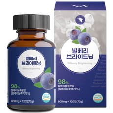 슬로어게인 빌베리 브라이트닝 농축 분말 98%, 1개, 120정