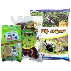 Bugs Zone 高級昆蟲用品套組, 混色, 1套