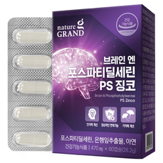 네이처그랜드 브레인 포스파티딜세린 PS 징코 1개월분 두뇌 은행잎추출물 인지력 기억력개선, 60정, 6박스