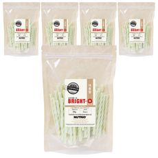 뉴트리오 강아지 브라이트오 치석껌 대용량, 코코넛, 250g, 5개