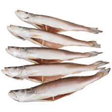 자갈치닷컴 손질 반건조 민어조기 뾰족조기 손질생선, 4P 29~31cm전후, 3마리