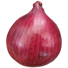 (광평영농조합) 25년 전남무안 황토밭 햇 자색양파, 5KG(중대혼합), 1개