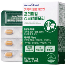 네이처그랜드 프리미엄 징코 메모리 1개월분 기억력개선 은행잎추출물, 3개, 30정
