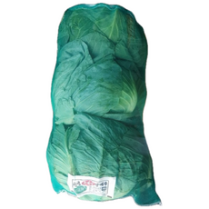 국내산 양배추 산지직송 신선양배추 당일경매 3개입 8kg내외 1망, 1세트, 8kg