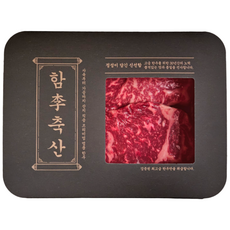 함이축산 1+ 원뿔 한우 채끝 (냉장), 3개, 300g