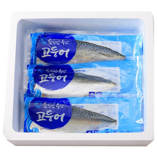 순천만수산 대 고등어 HACCP위생설비 생산 믿고 먹는 국내산 고등어 수협수매 100% 빠른배송, 10개, 120~140g