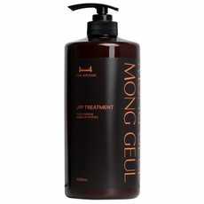 더브릿지 프로페셔널 몽글몽글 LPP 트리트먼트 1000mL, 1개, 1L