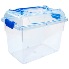 昆蟲觀察箱 L號, 混色, 1個