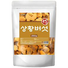 백세약방 국내산 상황버섯 100% 상황버섯 물 차 먹는방법 건강차효능, 1개, 250g