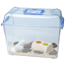 클린케이스 관찰 사육 세트 (사슴벌레 장수풍뎅이 성충 키우기 세트) - 꿈도미, 클린 케이스, 1개, 특대 키트