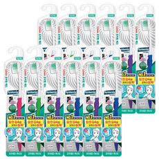 라이온코리아 [라이온코리아] 시스테마 치석케어 칫솔 콤팩트, 1개입, 12개