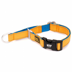 Needs the Pet. 狗狗 Interlaken Slim 2 馬汀格爾項圈, 藍色 + 黃色