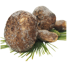 [금강송이무역] 자연산 능이버섯 냉동 [특품], C급 1kg, 1개