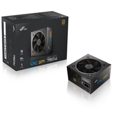 FSP VIC GM 80PLUS 골드 풀모듈러 ATX3.1 파워서플라이 PC 컴퓨터 파워, 750W