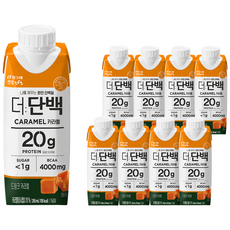 빙그레 더단백 드링크 프로틴음료 250ml, 9개