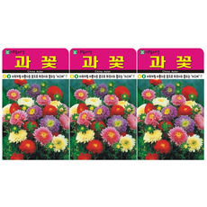 과꽃 씨앗 (합 1500립) 다년생 노지월동 꽃씨, 3개