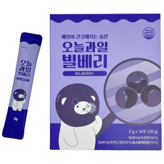 100% 빌베리 농축분말 안토시아닌 루테인대신 눈건강 눈영양 겨울철 환절기 눈피로 시력보호, 28g, 1세트