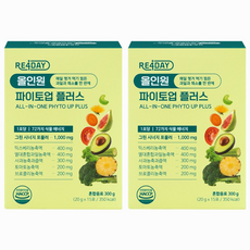 [본사 공식 채소/과일 72종]리포데이 올인원 파이토업 플러스 그린시너지 마시는 샐러드, 2개, 300g