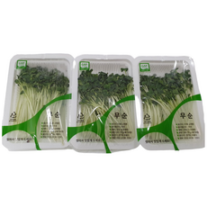 싱싱한 무순 3팩, 3개