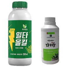 일타올킬500ml + 다키움250ml 세트 다육 식물 병해충관리제 화초 나무 제라늄 영양제, 1개