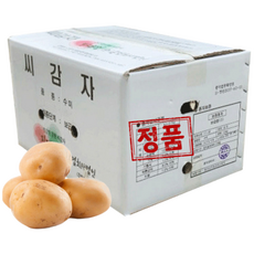 농사친구 강원도 수미 씨감자 4kg 10kg 20kg, 1개