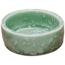 벨라픽 깔끔한 새 먹이통 6 x 2.8 cm, 그린, 1개