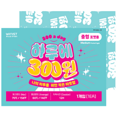 [25년 제조] 하루300 핫팩 90g 중형 포켓형 30개