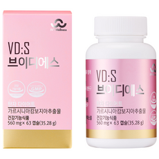 아이비웰니스 브이디에스, 63정, 1개